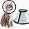 Cat Cone Litten