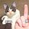 Cat Finger Meme