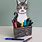 Cat Pencil Holder