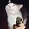 Cat Pointing a Gun