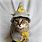 Cat Wizard Costume