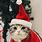 Cat with Christmas Hat