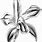 Cataleya Flower Drawing