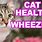 Cats and Dogs Wheeze