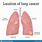 Central Lung Cancer