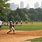 Central Park Baseball