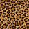 Cheetah Print Design