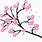 Cherry Blossom Tree Drawing Clip Art