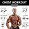 Chest Workout Weights