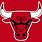 Chicago Bulls Basketball