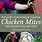 Chicken Mites Treatment