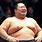 Chinese Sumo Wrestler