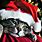 Christmas Cat Pics