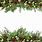 Christmas Greenery Border