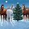 Christmas Horse Desktop