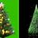 Christmas Tree Green screen