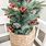 Christmas Tree in Basket