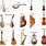 Classical Stringed Instruments