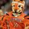 College Tiger Mascot