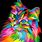 Colorful Cat Art