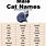 Cool Cat Names for Boys