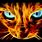 Cool Fire Cat