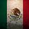 Cool Mexican Flag Designs