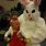 Creepy Easter Bunny Costumes