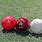 Cricket Ball Types