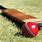 Cricket Bat Ball Photo
