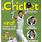 Cricket Books Magazine