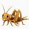 Cricket Bug Cartoon