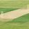 Cricket Field Pitch