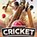 Cricket Final Match Poster