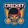 Cricket Helmet Logo