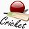 Cricket Match Clip Art
