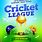Cricket Premier League Poster