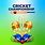 Cricket Tournament Banner Design Templates