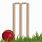 Cricket Wicket PNG