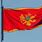 Crnogorska Zastava