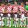 Croatia FIFA