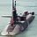 Cruise Missile Submarine