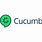 Cucumber Tool Logo