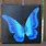 Cute Butterfly Paintings