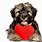 Cute Dog Heart