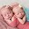 Cute Newborn Baby Boy Twins