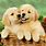 Cute Puppies Desktop