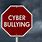 Cyber Bullies