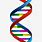 DNA Biology Clip Art