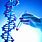 DNA Gene Therapy